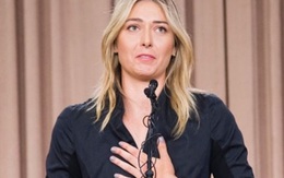 Maria Sharapova trắng án: Phải chờ đến tháng Sáu