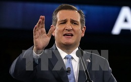 Bầu cử Mỹ: Thượng nghị sỹ Ted Cruz có thể sẽ trở lại đường đua