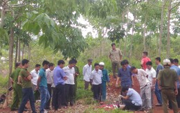 Lừa giết bạn, kéo xác vào rừng cao su