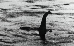 Sự thật không ngờ về 'Quái vật hồ Loch Ness'?