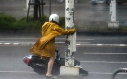 24h qua ảnh: Người đi đường ôm cột đèn để tránh bão ở Đài Loan