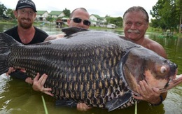 24h qua ảnh: Bắt được cá chép nặng nhất thế giới