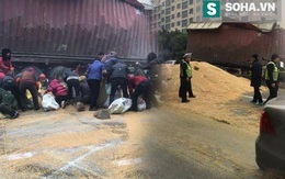 Trung Quốc: “Bệnh hôi của” tái phát, 8 tấn lúa mỳ bốc hơi