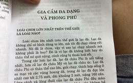 Định nghĩa "Lạc đà là loài chim to nhất thế giới" gây choáng