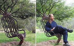 Khám phá khu vườn "trồng bàn ghế” duy nhất trên thế giới