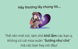 Tâm sự đầy đau khổ của một chú chó