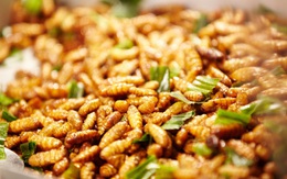 Loại thực phẩm rẻ tiền ở Việt Nam được Trung y coi là "thần dược" bổ thận tráng dương