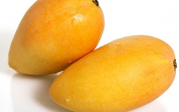 Những lợi ích nổi bật mà xoài đem lại cho sức khỏe