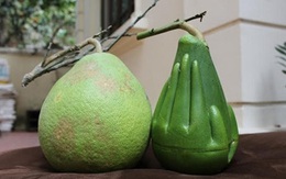 Bưởi bàn tay Phật xuất ngoại, đại gia Việt hết phần