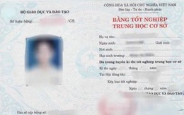 Trưởng Ban Tổ chức thành ủy bị giáng xuống làm nhân viên