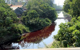 Rau muống trên sông đỏ quạch: Phó chủ tịch phường ngỡ ngàng