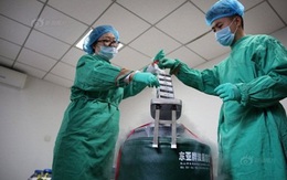 Công việc lặng lẽ của nhân viên ngân hàng tinh trùng