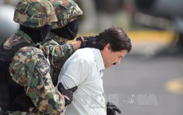 Trùm ma túy “El Chapo” than khó ở vì… chó sủa dữ