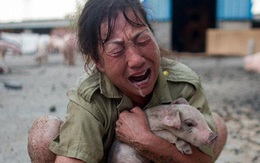150 người chết vì mưa rơi, người dân Trung Quốc khóc nấc vì tán gia bại sản