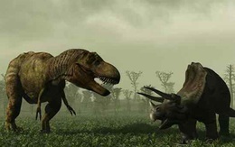 Bất ngờ phát hiện dấu chân khủng long cổ 230 triệu năm trước