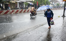 TP.HCM: Người dân Nhà Bè tận hưởng mưa "vàng" giải nhiệt