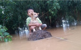 Xúc động khoảnh khắc em bé ngồi ôm chú chó trong dòng nước lũ ở Quảng Bình