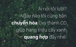 Mấy câu dưới này những kẻ lười biếng sẽ thích lắm đây!