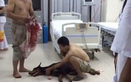 Chú chó bị đâm vào cổ ở phố Nguyễn Chí Thanh (Hà Nội) đã chết