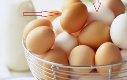 Thường xuyên ăn trứng gà nhưng chắc chắn bạn chưa biết điều này