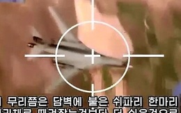 Triều Tiên tung video bắn hạ máy bay chiến đấu Mỹ