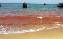Vệt nước màu nâu đỏ vừa xuất hiện ở Quảng Bình rất bất thường