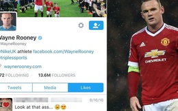 Rooney đỏ bừng mặt vì bị fan phát hiện bấm thích trang web khiêu dâm