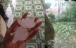 Clip: Xem mưa đá "khủng" ở Tuyên Quang
