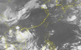 Tin bão số 1 mới nhất 27/7: Đêm nay, bão đổ bộ vào Quảng Ninh-Nam Định