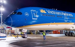 Hai máy bay Boeing của Vietnam Airlines phải tạm ngừng hoạt động