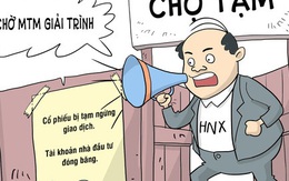 Hí họa: Chuyện "con voi chui qua lỗ kim" của MTM