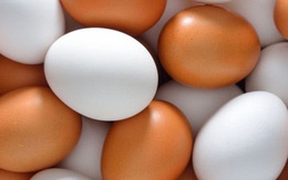 Nhiều người chọn mua trứng màu nâu mà không biết đến sự thật này