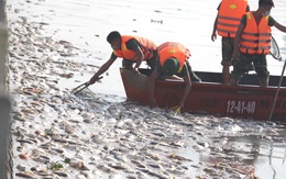 Huy động Bộ Tư lệnh Thủ đô vớt cá chết hàng loạt ở Hồ Tây
