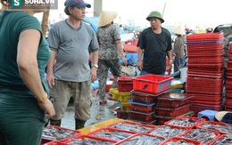 Co.opmart tiêu thụ hàng ngàn tấn hải sản ở biển miền Trung