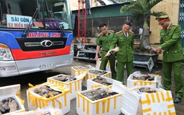 Chiêu trò ngụy trang chở cả tấn chân trâu bò thối trên xe giường nằm