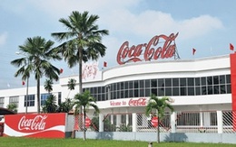 Vụ dừng lưu thông 13 sản phẩm Coca Cola: Tiết lộ bất ngờ từ Cục trưởng Cục An toàn thực phẩm