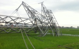 Cột điện đường dây 500kV đổ hàng loạt vì mưa giông