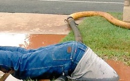 Bức ảnh nhân viên Mỹ vục mặt trong bùn sửa đường ống nước gây bão mạng xã hội