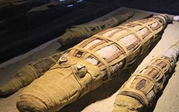Phát hiện mới về hàng loạt xác ướp cá sấu 2500 tuổi ở Ai Cập