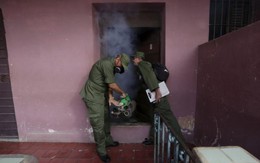 Cuba điều động 9.000 quân chống virus Zika lan truyền