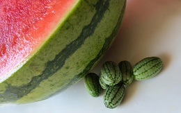 Cucamelon - loại dưa hấu tí hon có thể trồng được ngay tại nhà của bạn