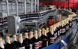 “Soi” tiến độ thoái vốn của các công ty thuộc Bộ Công Thương