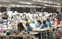 86% lao động dệt may Việt Nam có nguy cơ mất việc