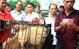 ​11 triệu người phản đối lễ hội thịt chó của Trung Quốc