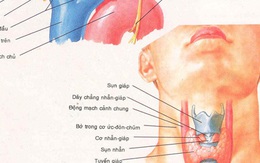 Bị tai nạn cứa cổ cần lập tức làm điều này để giữ mạng sống