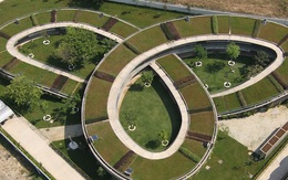 Những kiến trúc nhà xanh cho thành phố của KTS Võ Trọng Nghĩa