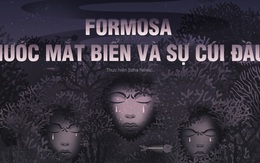 Đâu chỉ có Formosa? Hãy nhìn thẳng vào những chuyện "đúng quy trình" đáng sợ ở Việt Nam
