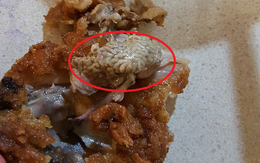 KFC tiếp tục khiến khách hàng kinh hãi vì vật thể lạ như... bộ não trong thịt gà rán