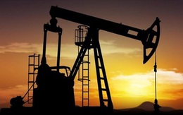 Giá dầu thế giới đi xuống sau thỏa thuận của Nga và Saudi Arabia
