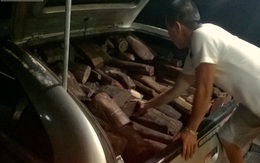 Kiểm tra xe con, CSGT bất ngờ khi phát hiện có cả tấn gỗ quý
